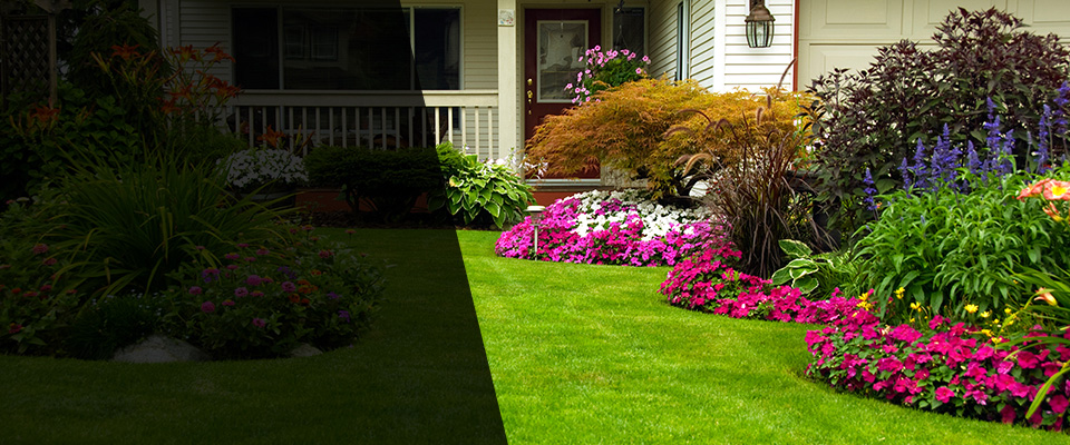 Morgan Landscapers