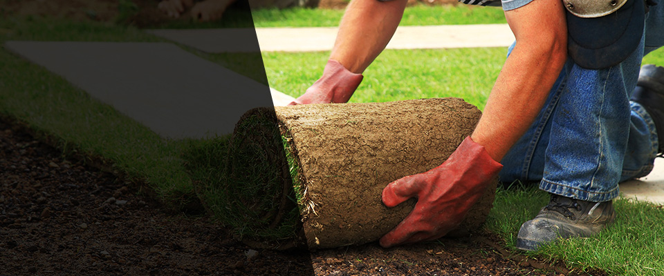 Morgan Landscapers